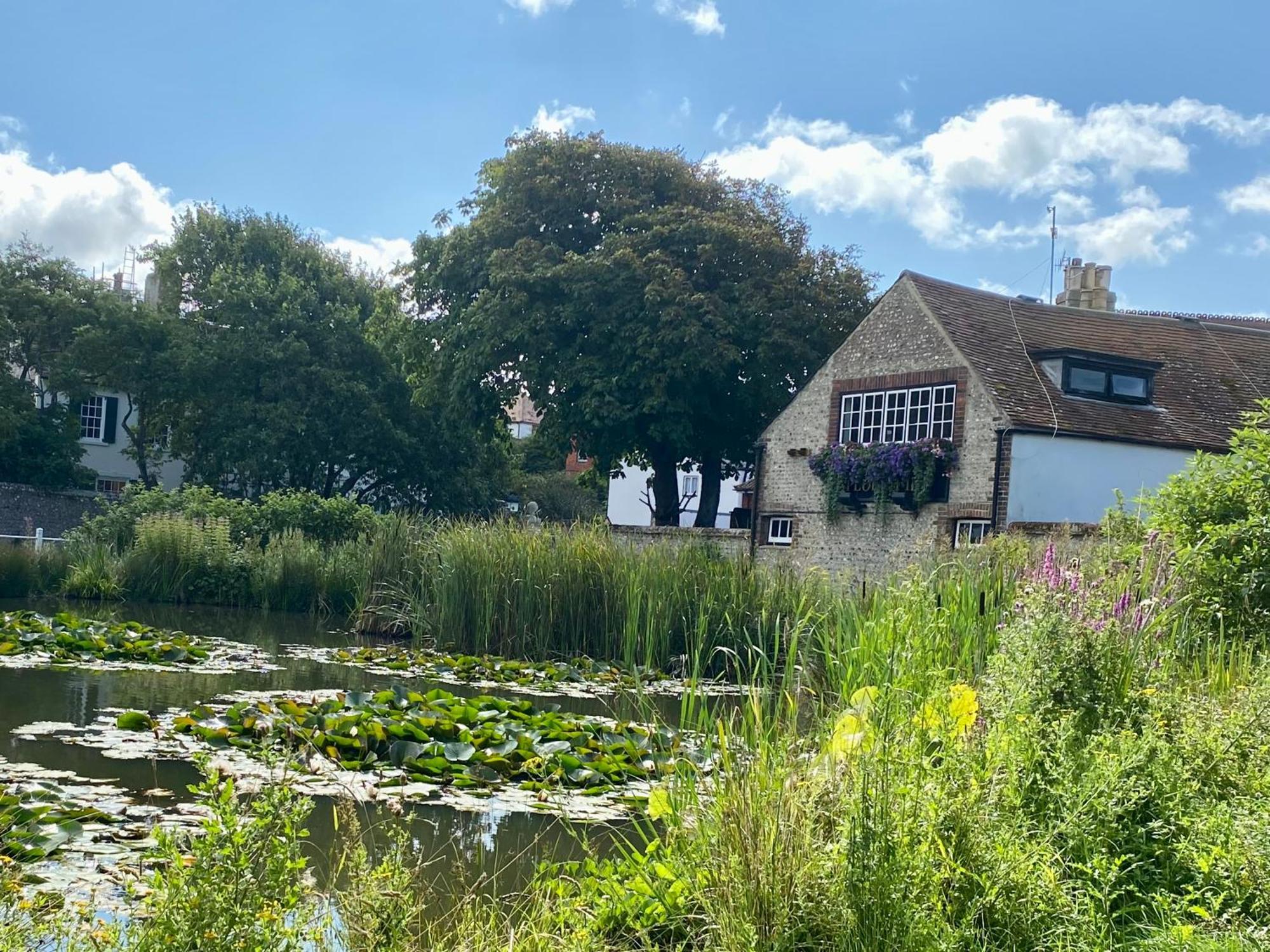 Rottingdean Boutique Studio Apartment By The Sea ブライトン エクステリア 写真